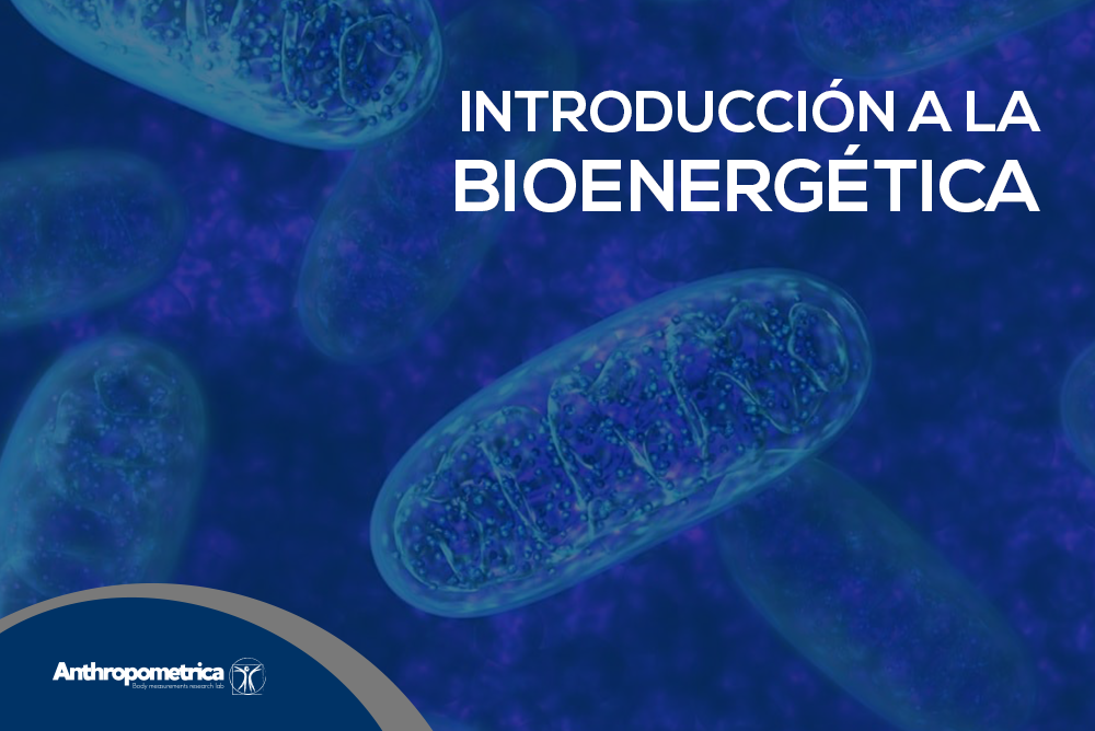 Introducción a la bioenergética Anthropometrica